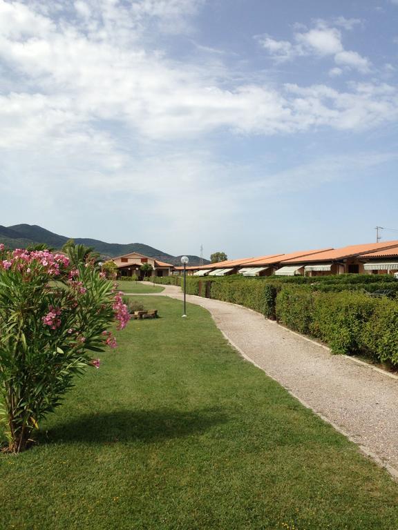 Cernaia *